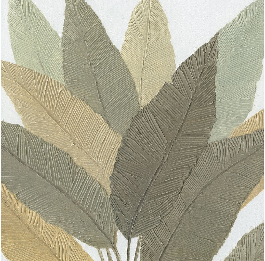 Calathea 100x100 Agave