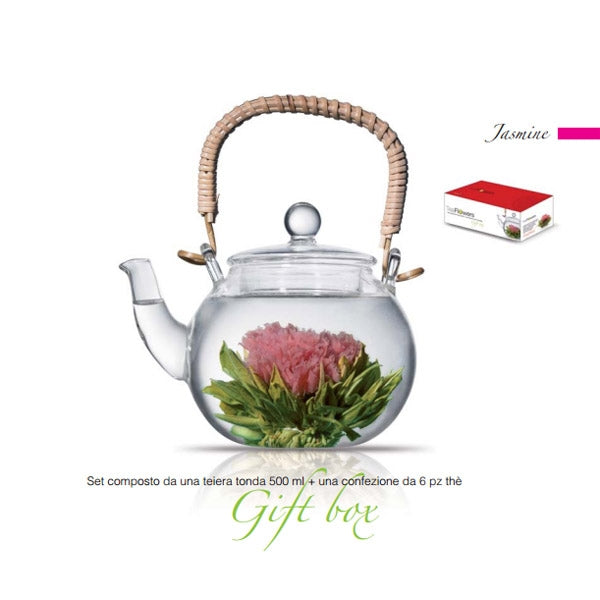 Theiera Vetro 500 Ml Con Tea Box 6Pz Jasmine Rogaska