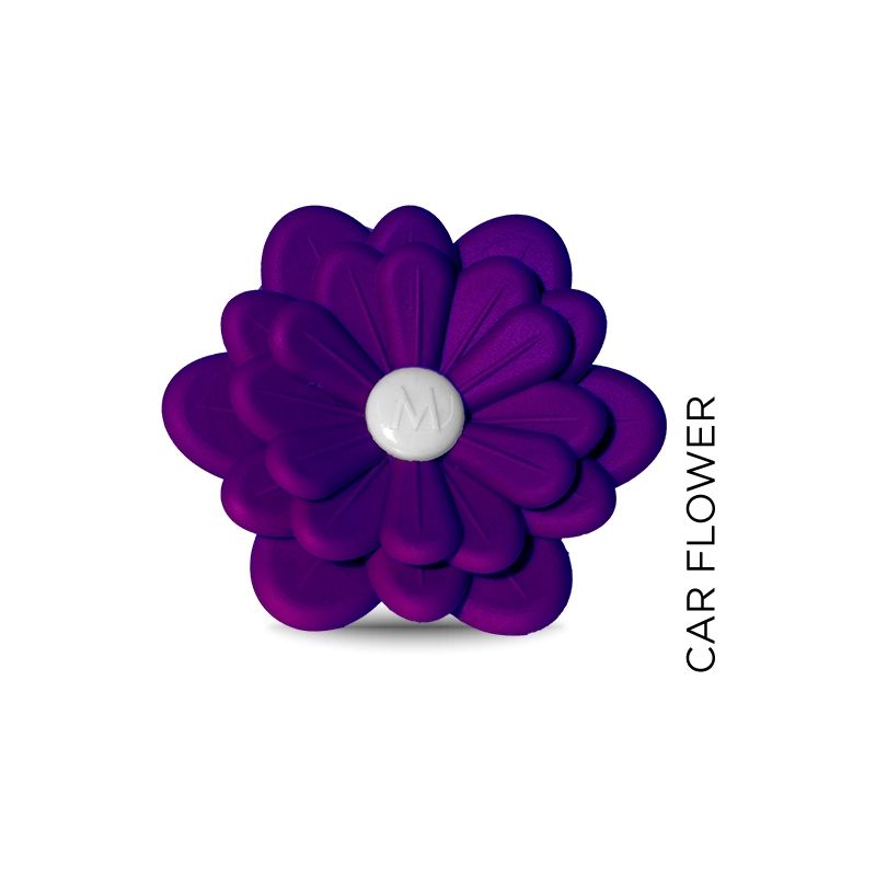 Car Flower Viola-Melograno