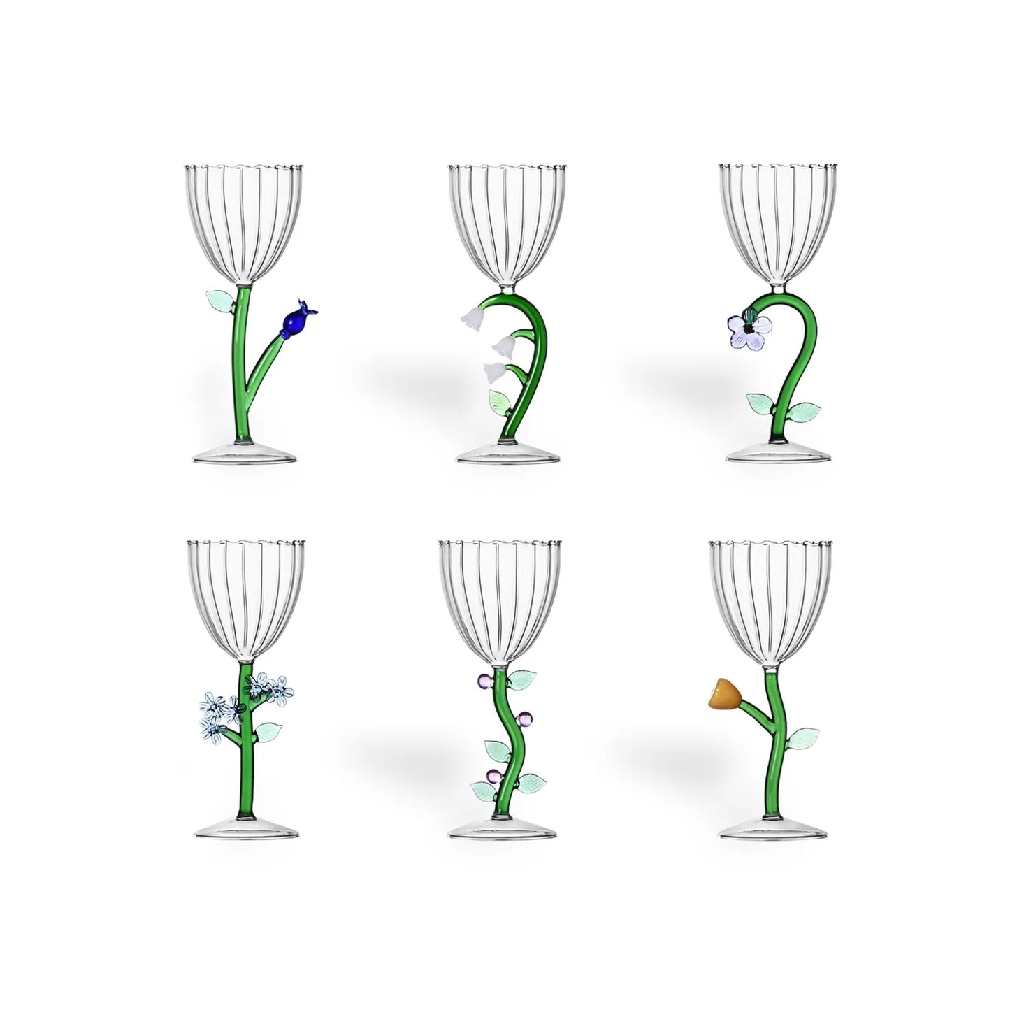 Set 6 calici botanica