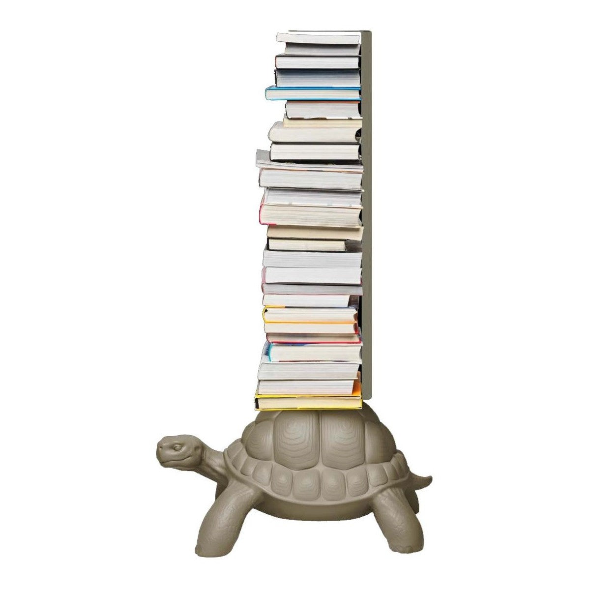 Turtle Carry – Libreria Tartaruga Dove Grey
