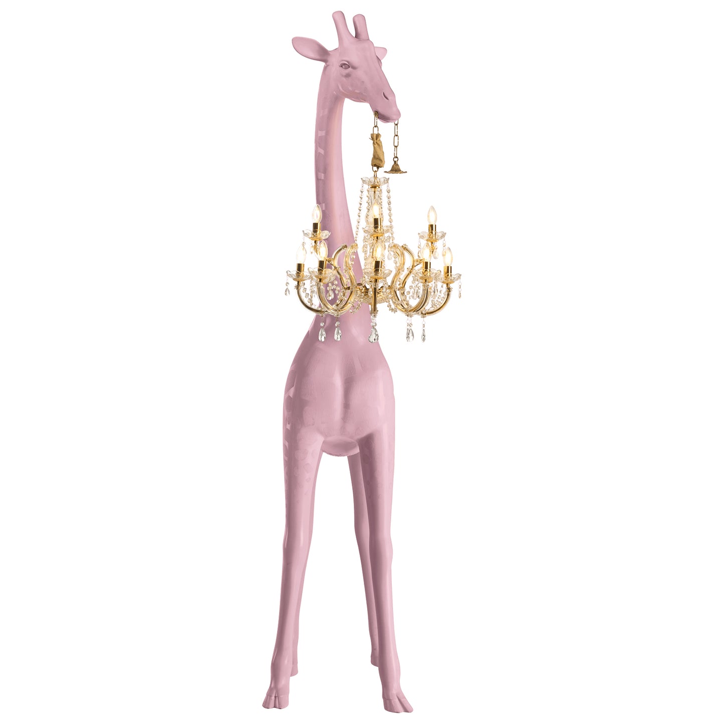 Giraffe in Love