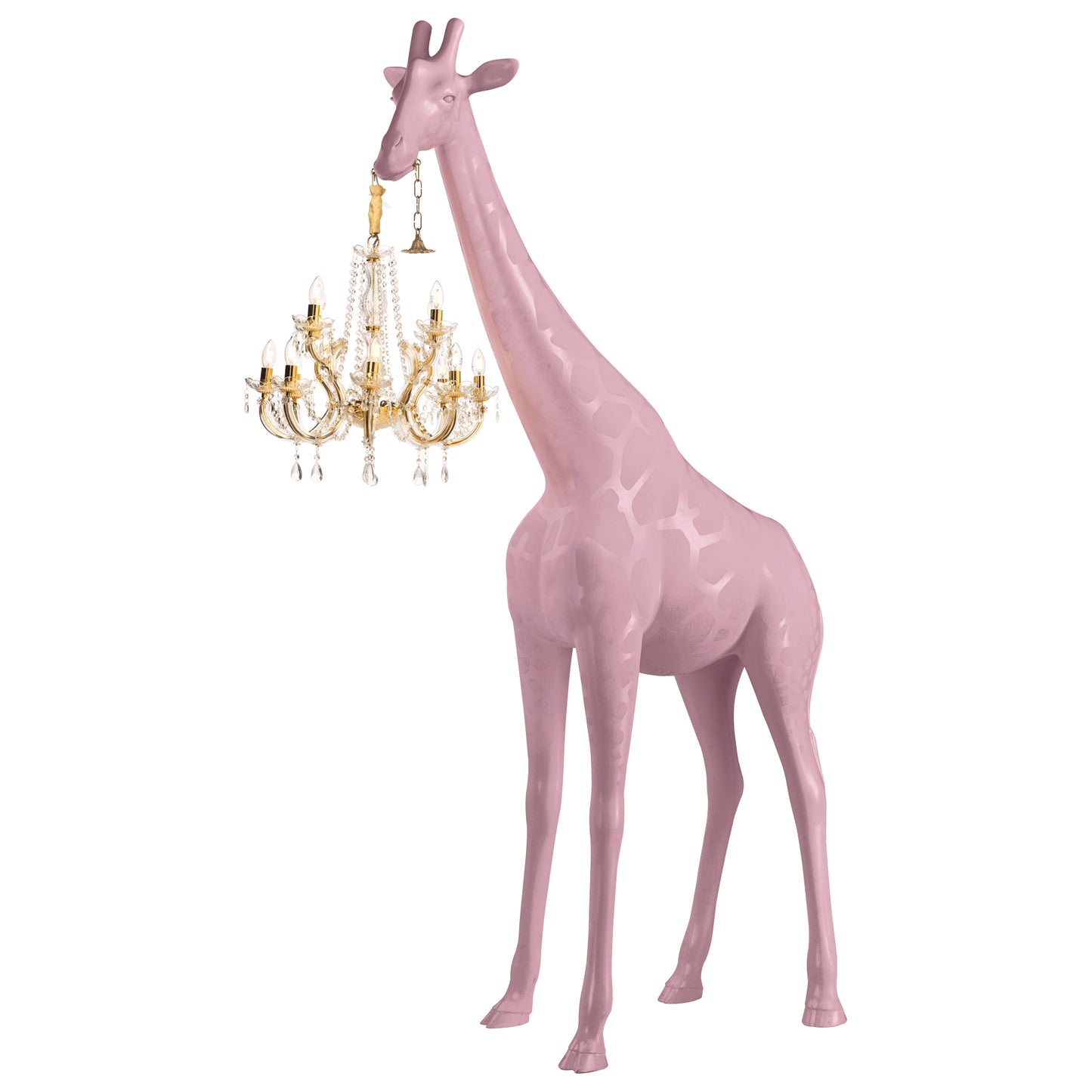 Giraffe in Love