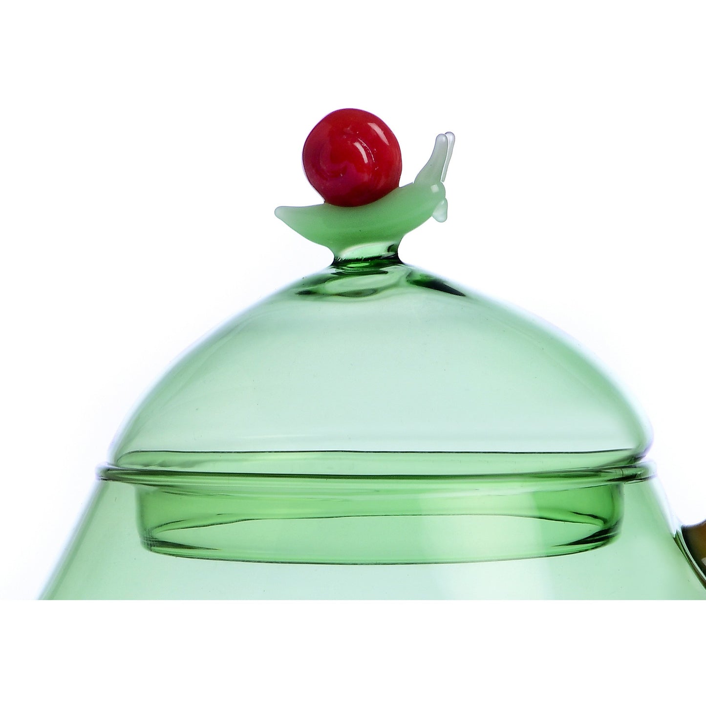 Scatola tartaruga Ichendorf