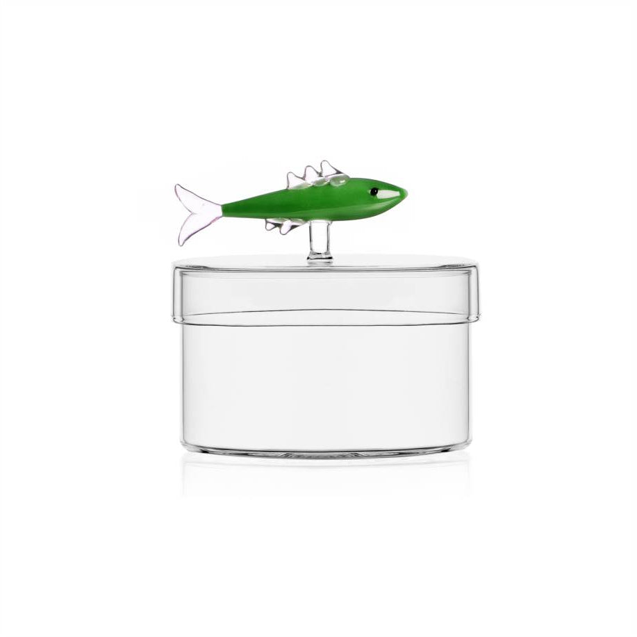 Scatola sardina verde