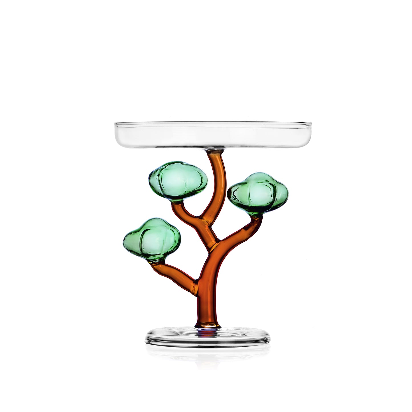 Alzata Baobab H 17 Cm Ichendorf