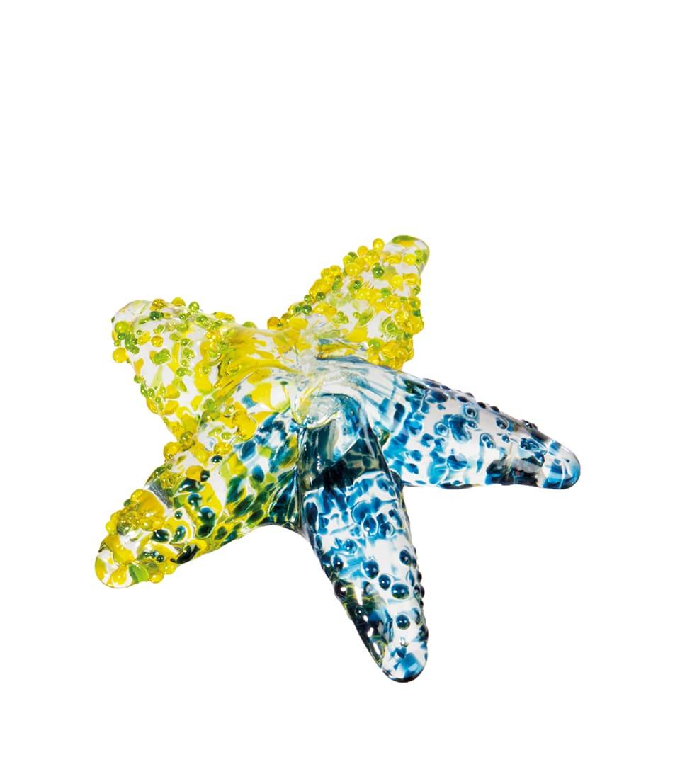 Stella marina decorativa