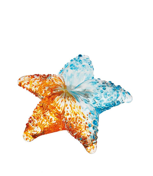 Stella marina decorativa
