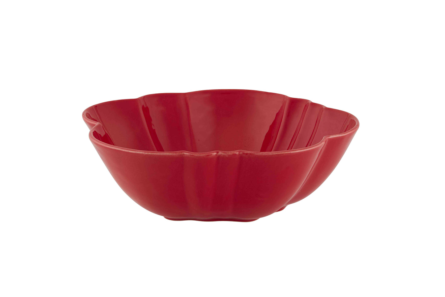 Tomate Insalatiera 28