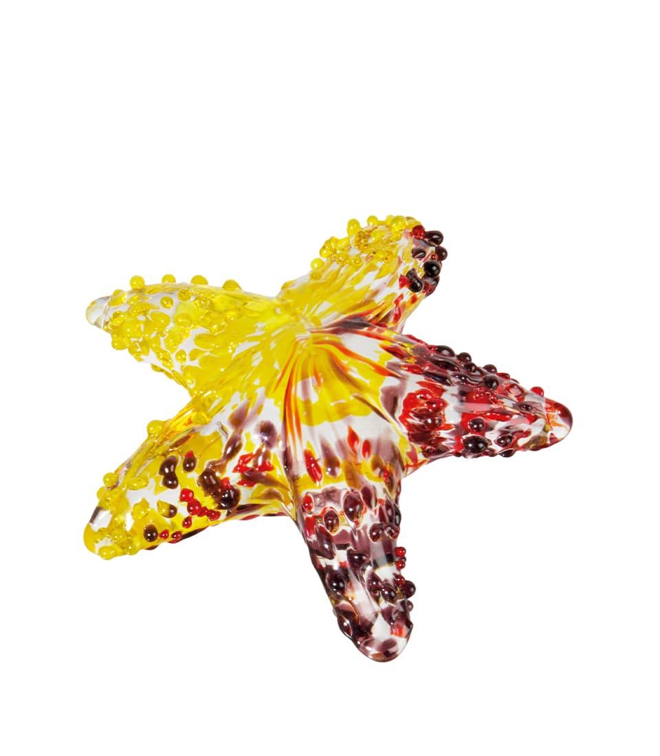 Stella marina decorativa