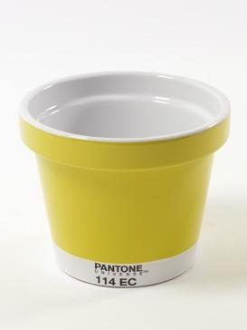 Portapiante Pantone Colore Giallo