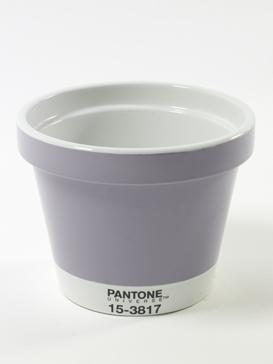 Portapiante Serie Pantone Lilla Xl