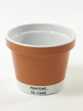 Portapiante Serie Pantone Arancio Xxl