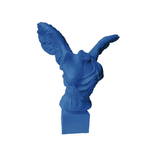 Busto Blu Nike Cm 18 Lamart