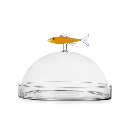 Cupola con piatto sardina