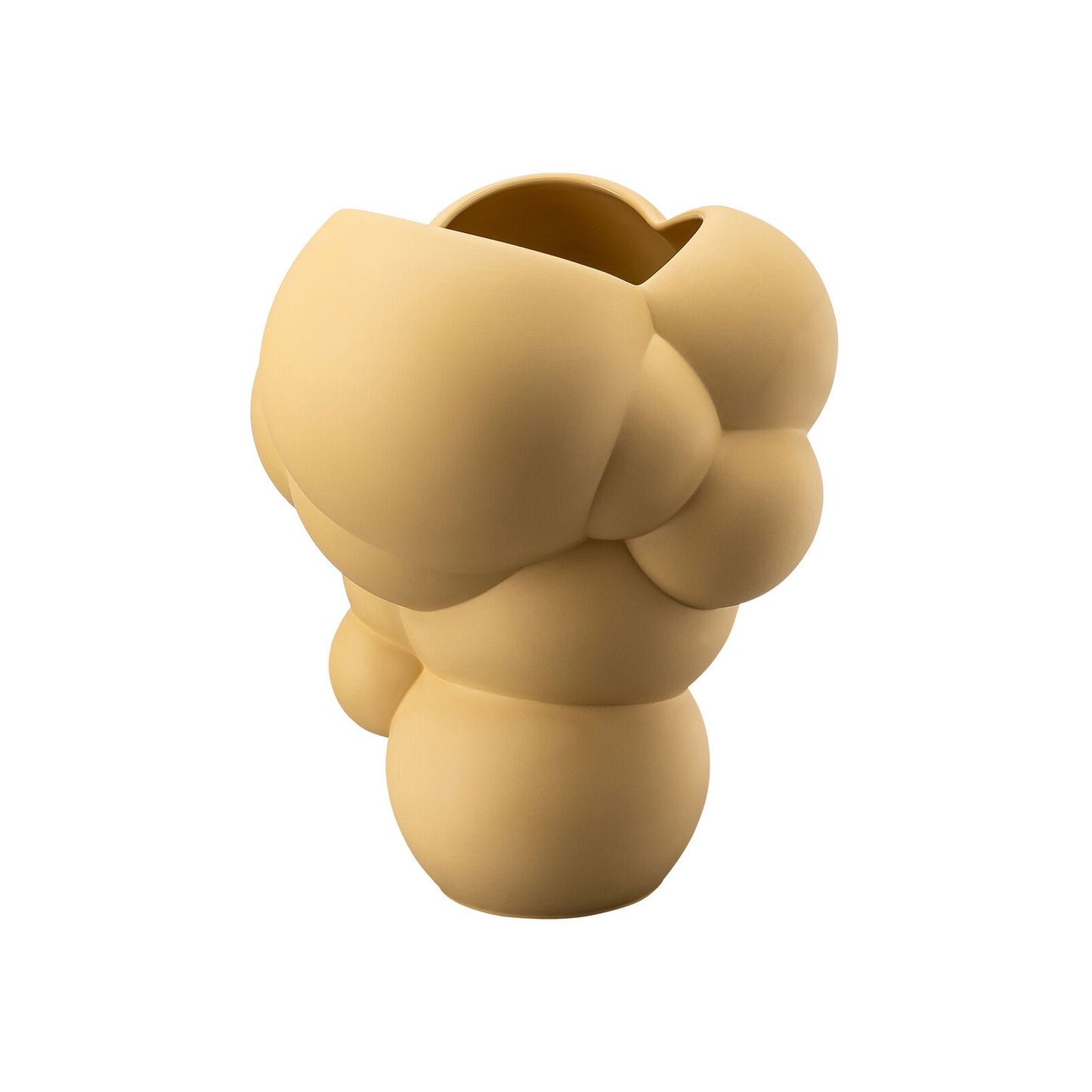 Skum Fossil Vaso Rosenthal