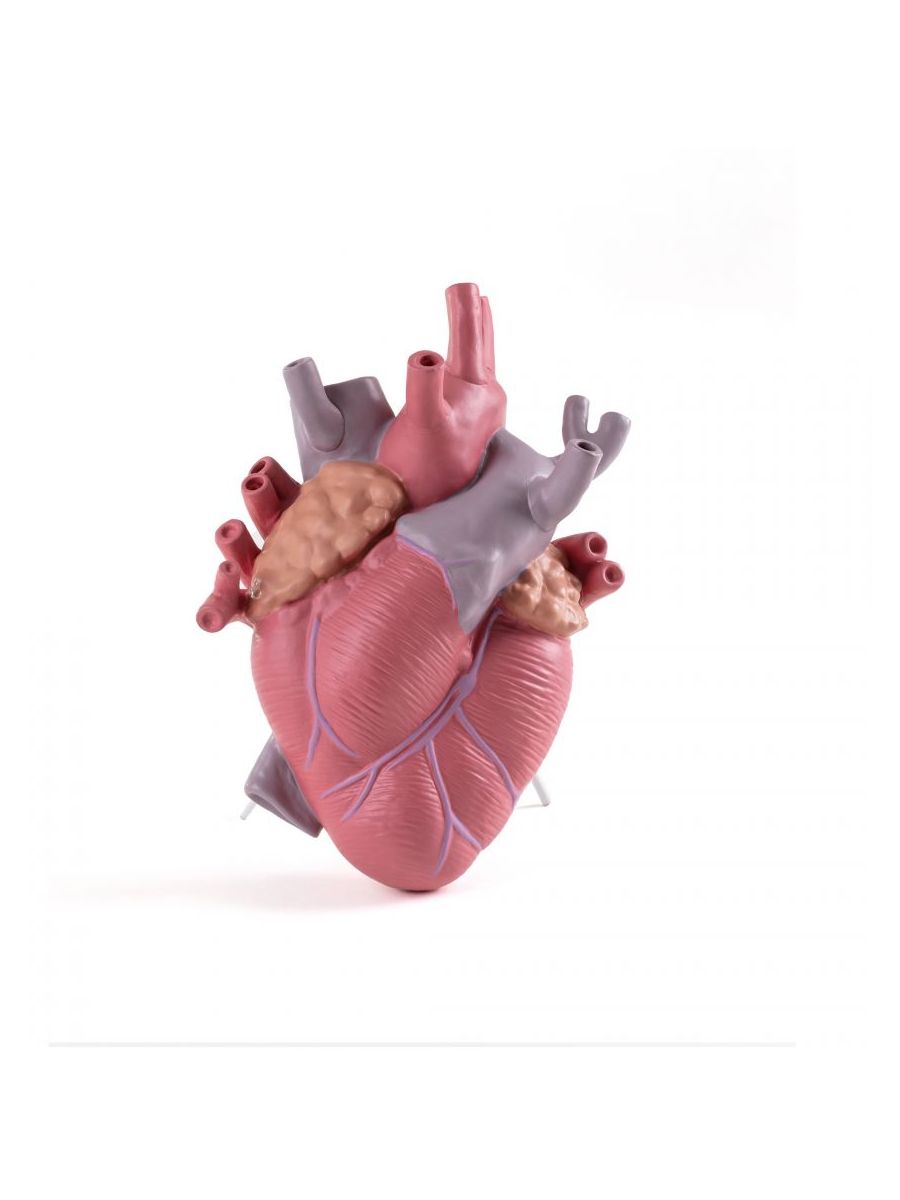 Vaso In Porcellana Love In Bloom Color Seletti