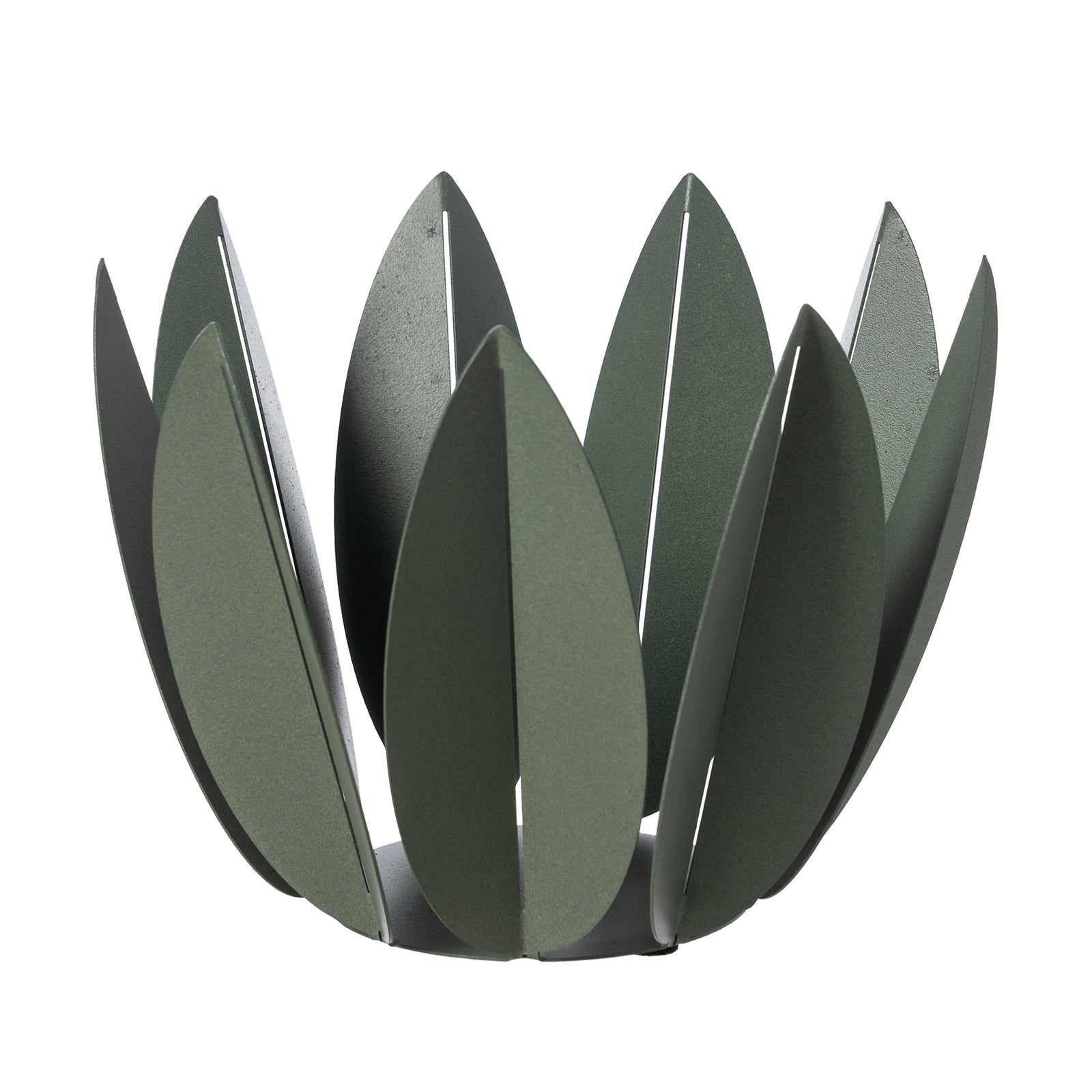 Agrumiera Ficus Arti E Mestieri