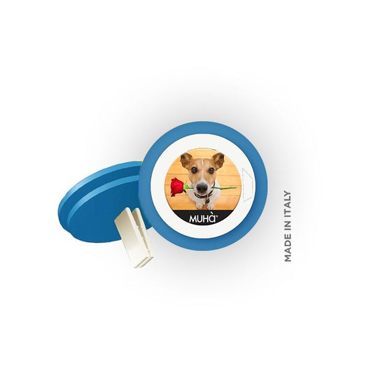 Car Symbol Cane Azzurro-Legni Orientali
