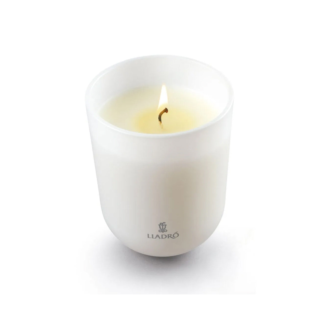 Candela Echoes of Nature. Mediterranean Beach