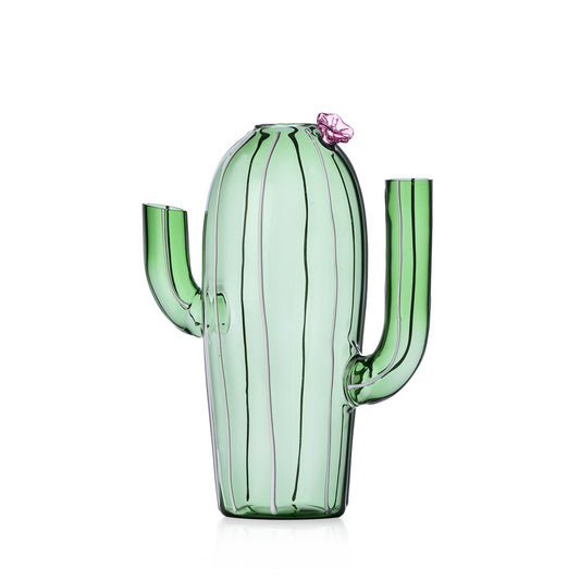 Brocca cactus verde fiore rosa