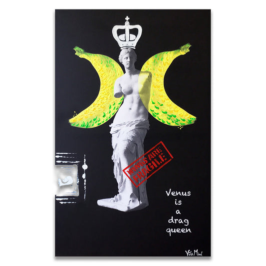 Venus is a drag queen Vjs Mind