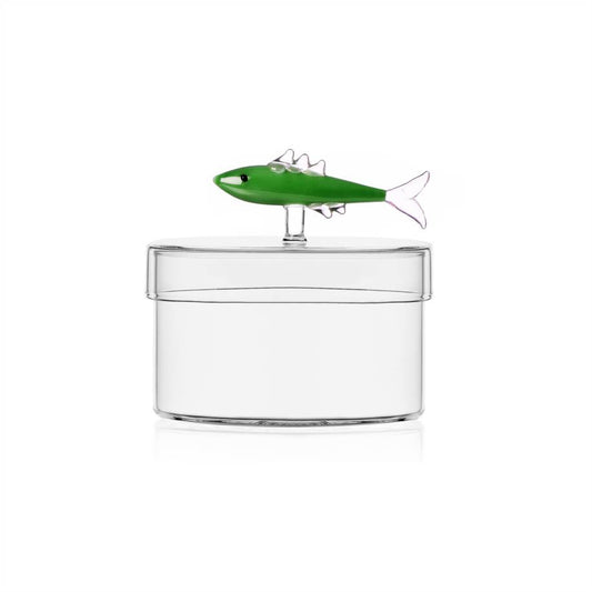 Scatola sardina verde