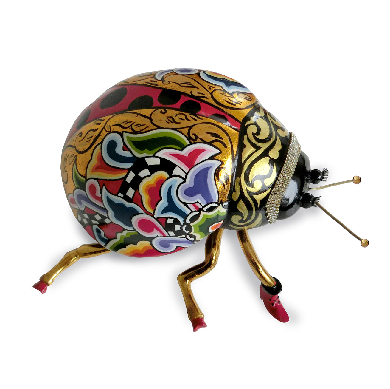 Coccinella "Lady" L Tom`s Drag