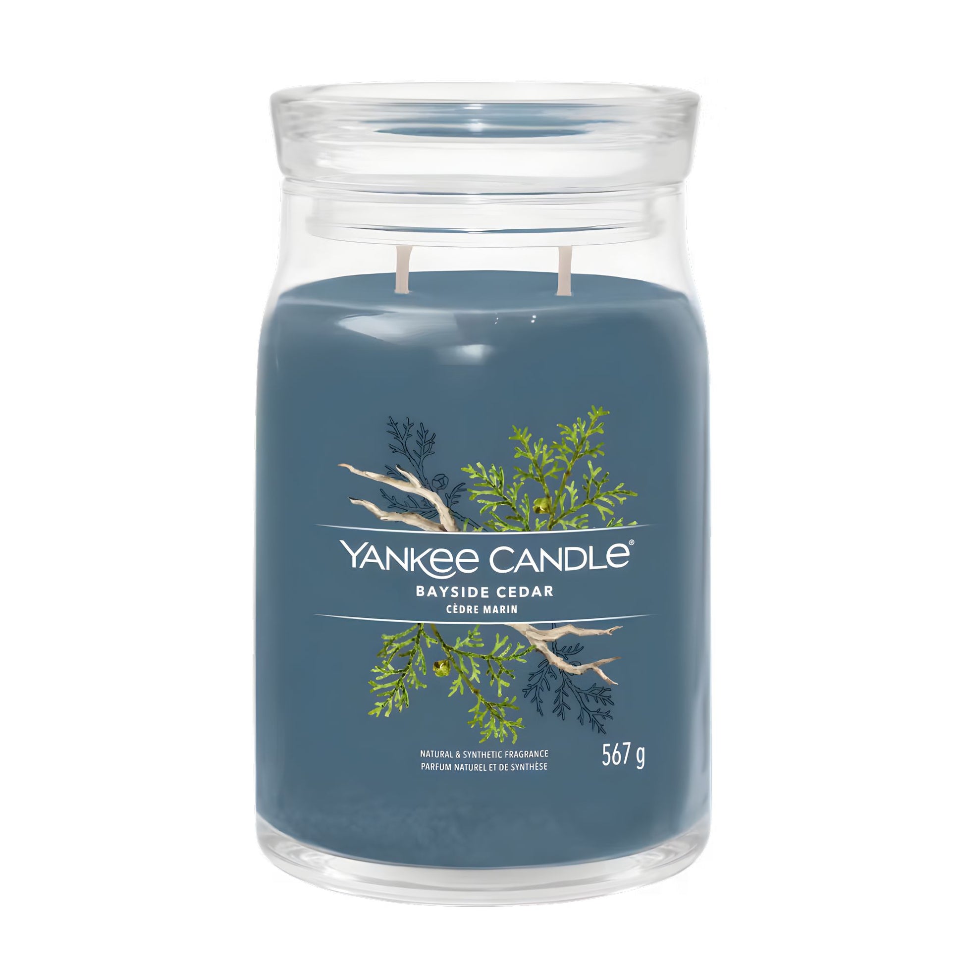 Candela 567 Gr Bayside Cedar Yankee Candle