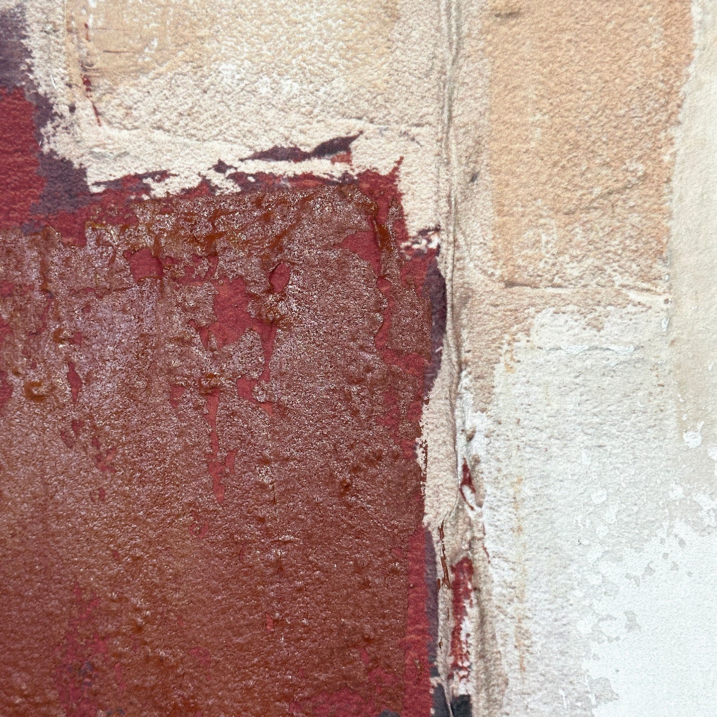 Quadro Muscade 80x100 Agave Quadri
