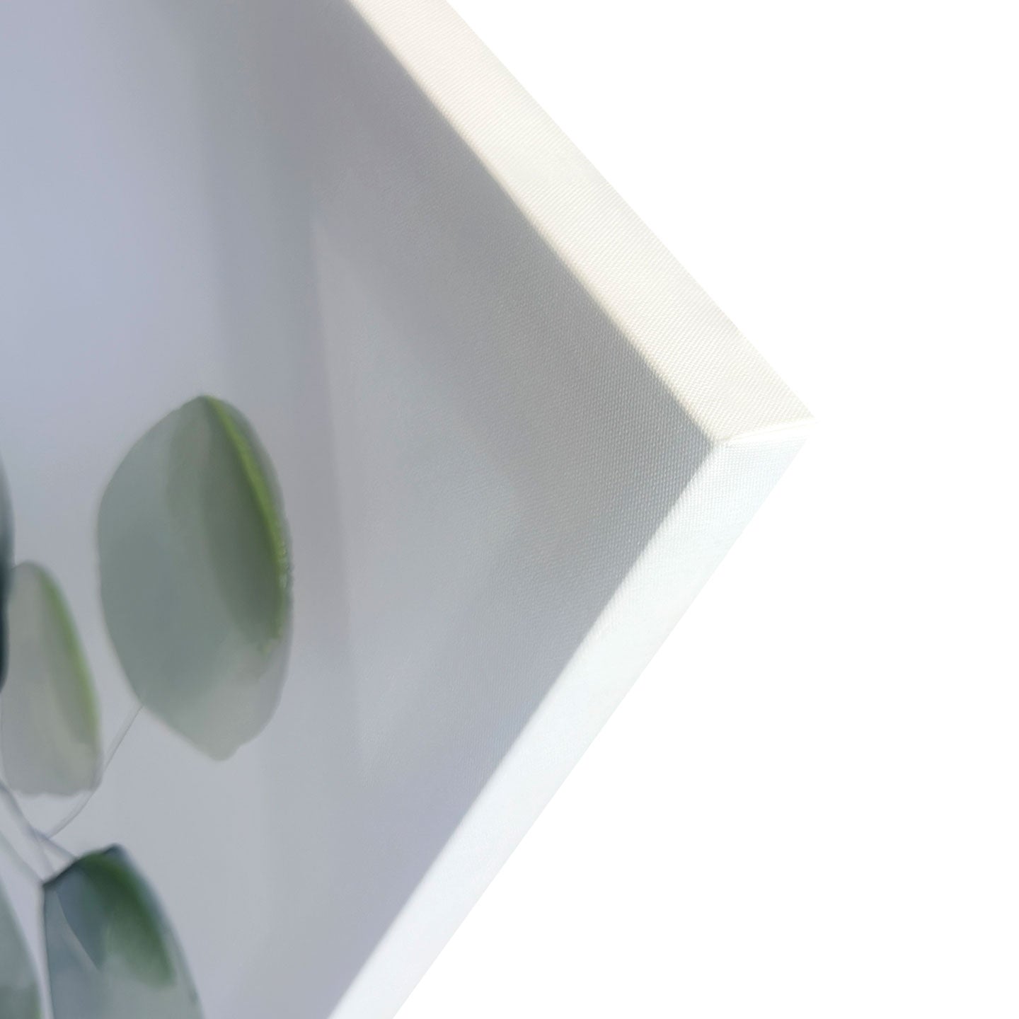 Tela Eucalipto 1 60x90 Agave Quadri