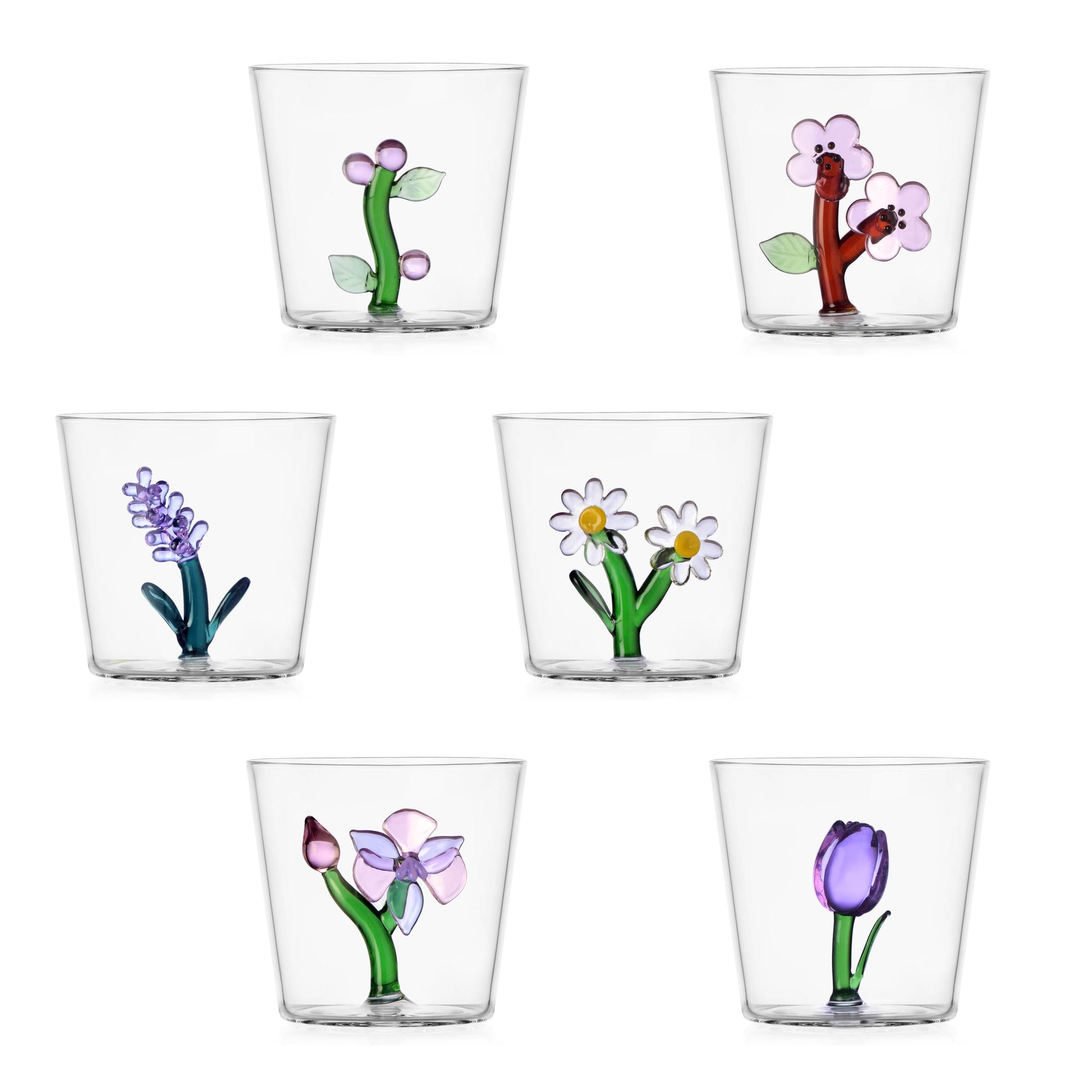 Set 6 Tumbler botanica Ichendorf