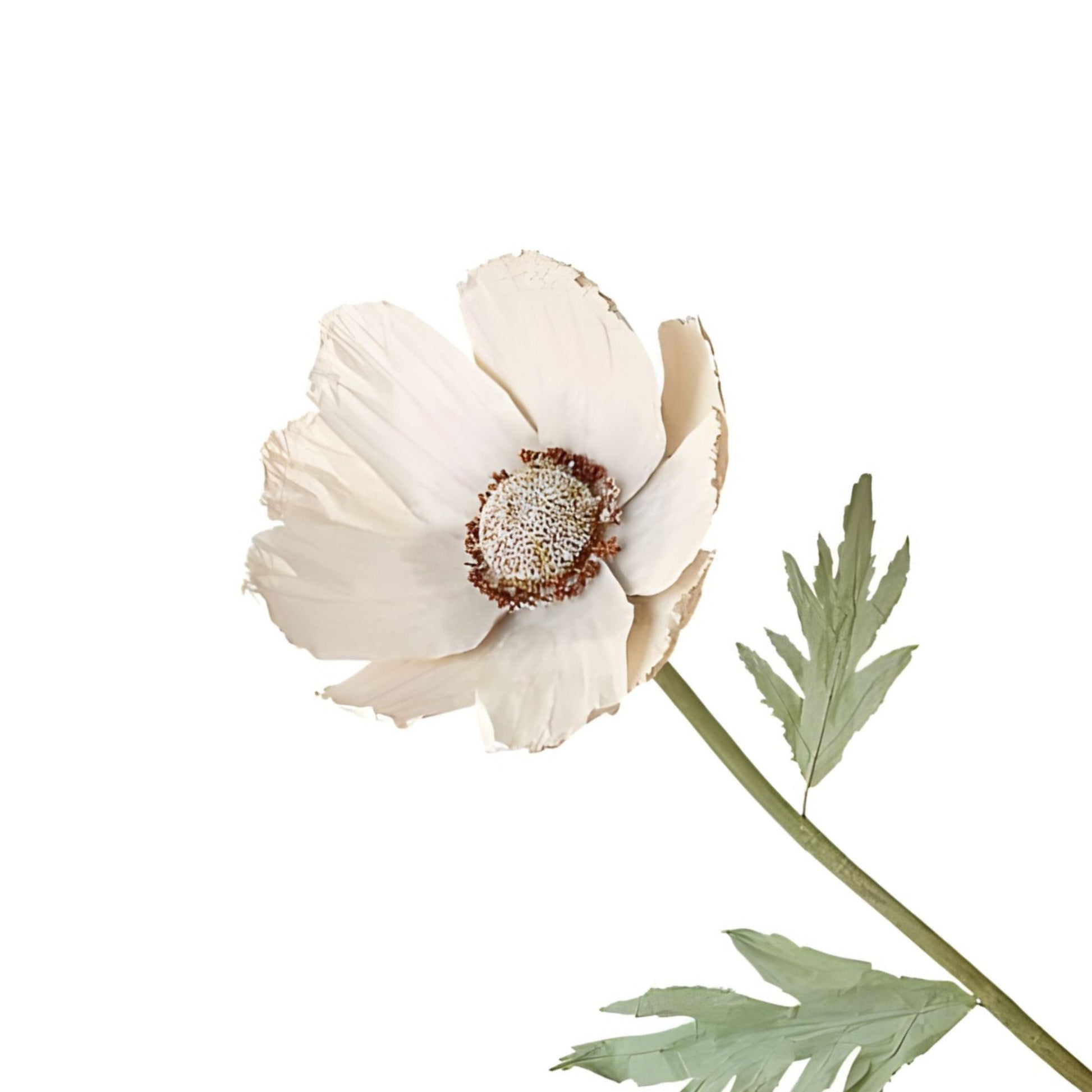 Fiore Decorativo Con Base 155H - Margherita L'oca Nera