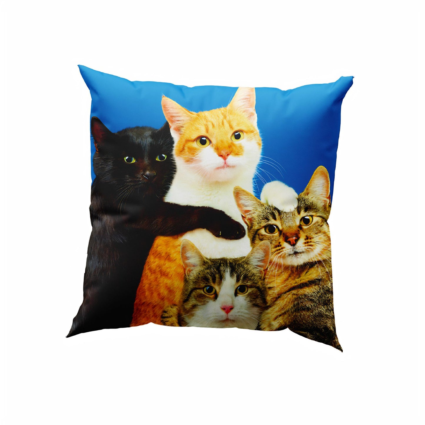 Cuscino Imbottitura Piuma Toiletpaper Polycats Seletti