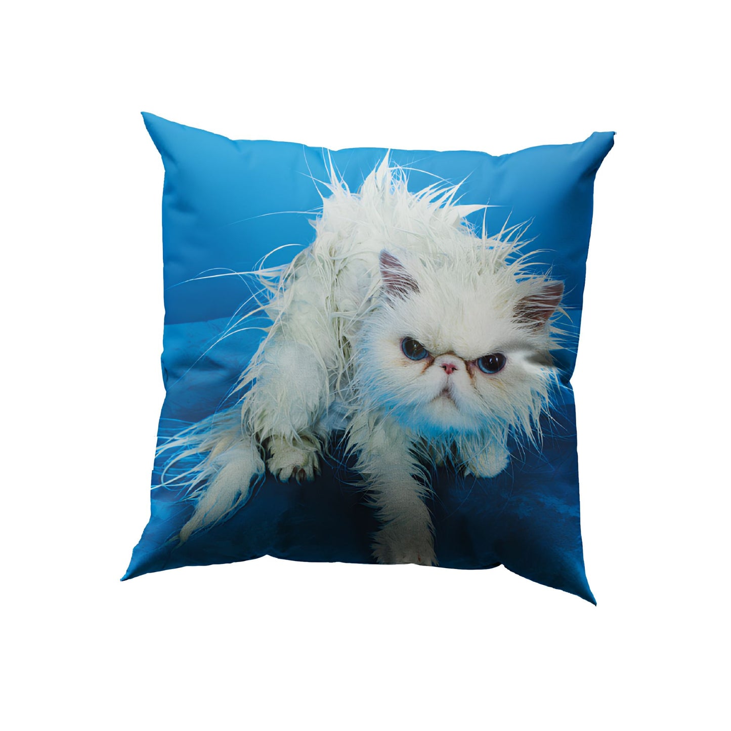 Cuscino Imbottitura Piuma Toiletpaper Angry Cat Seletti