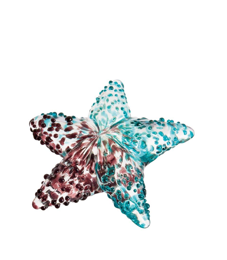 Stella marina decorativa