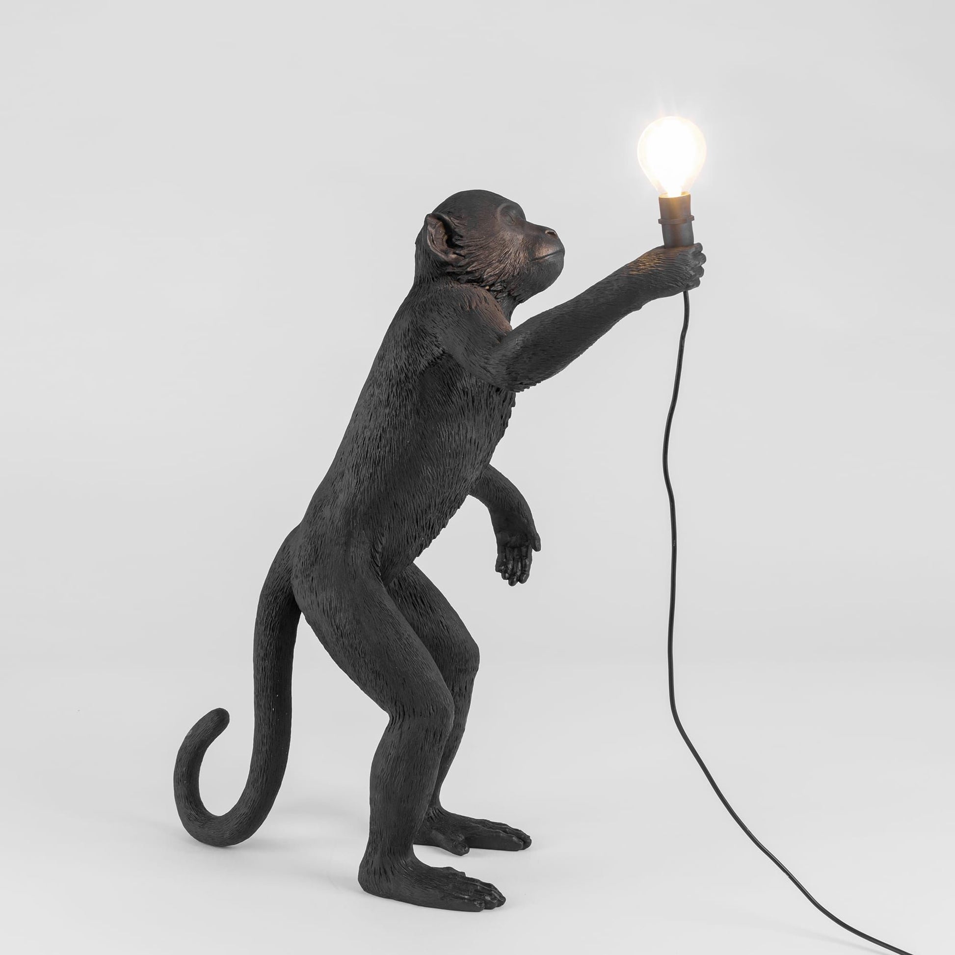 Lampada da esterno nera monkey lamp