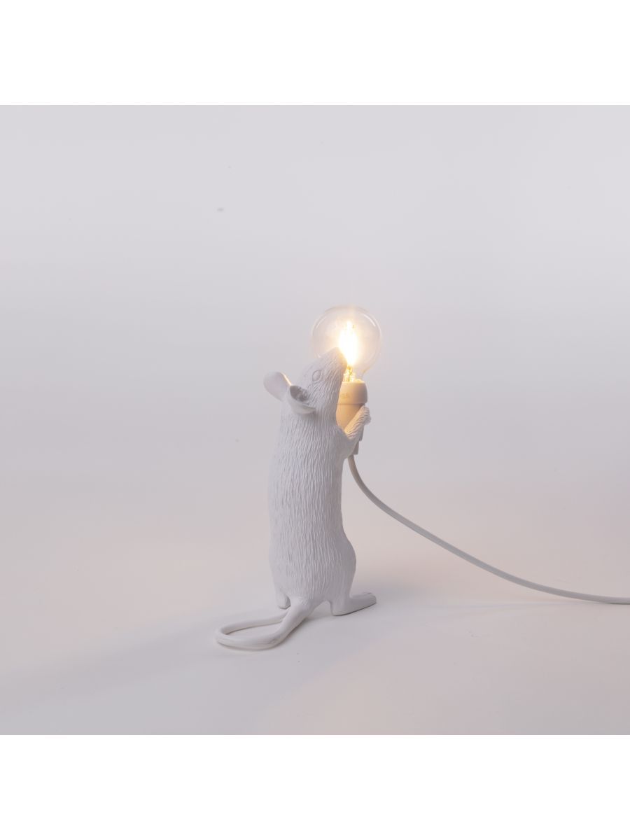 Mouse Lamp Step