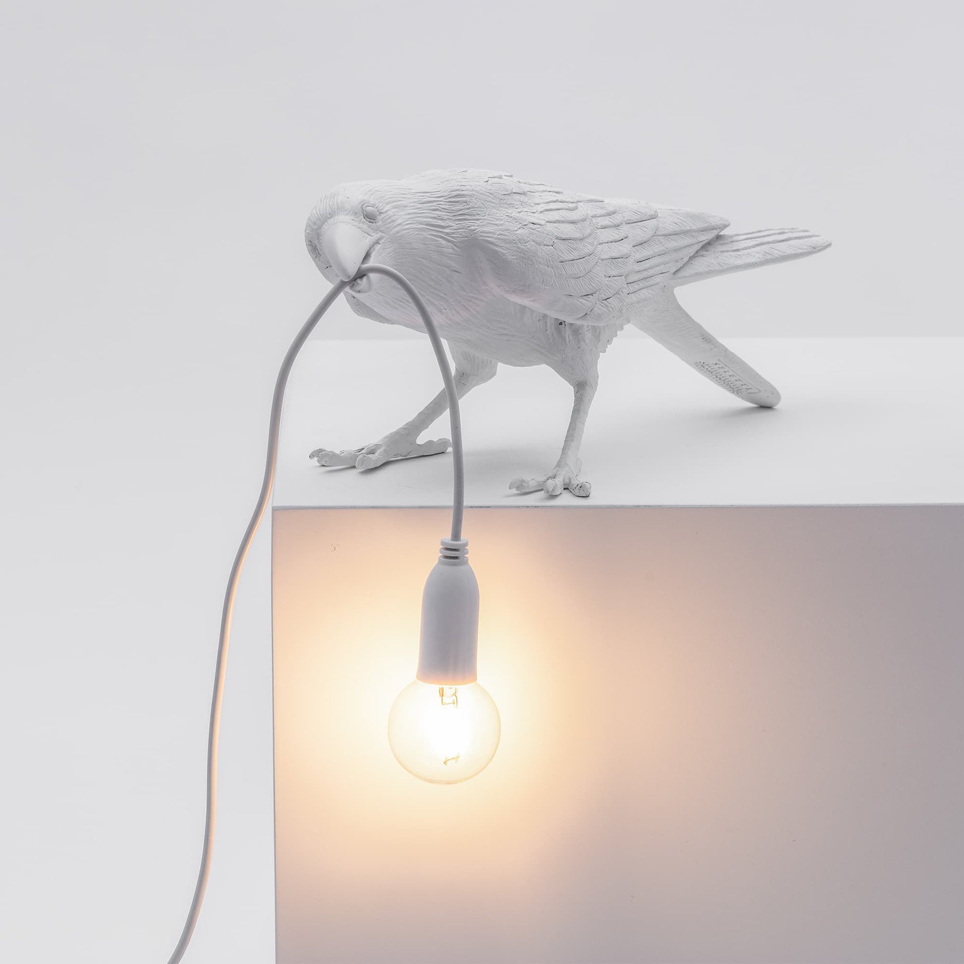 Lampada uccello bird lamp