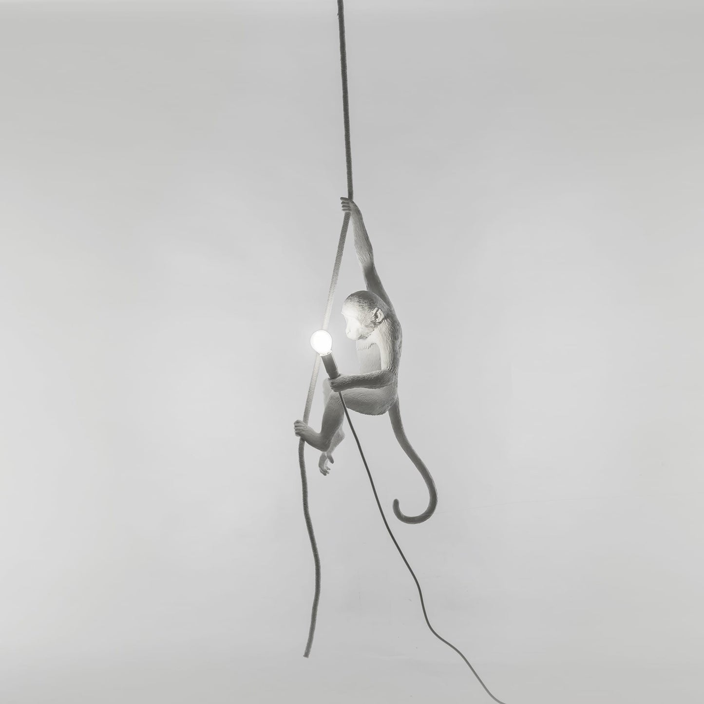 lampadario scimmia monkey lamp