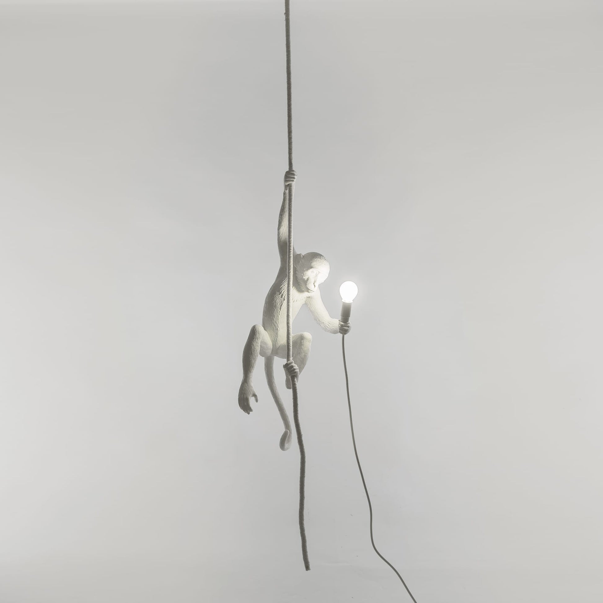 lampadario scimmia monkey lamp