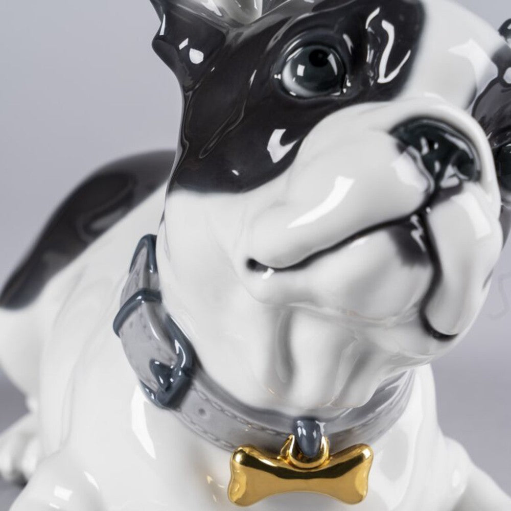 Statua bulldog francese