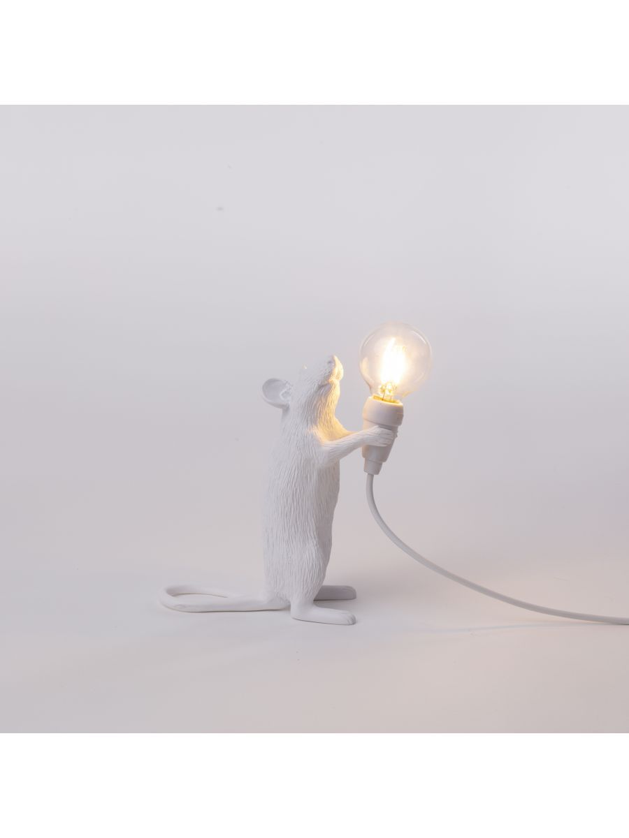 Mouse Lamp Step