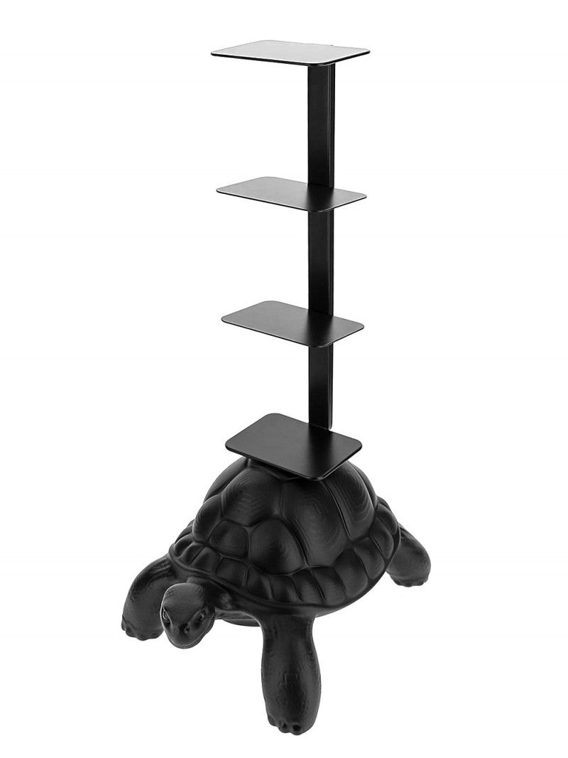 Tartaruga libreria Turtle Carry