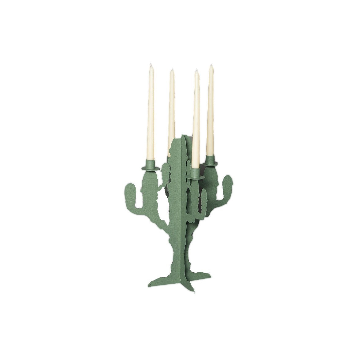 candelabro cactus verde salvia