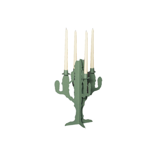 candelabro cactus verde salvia