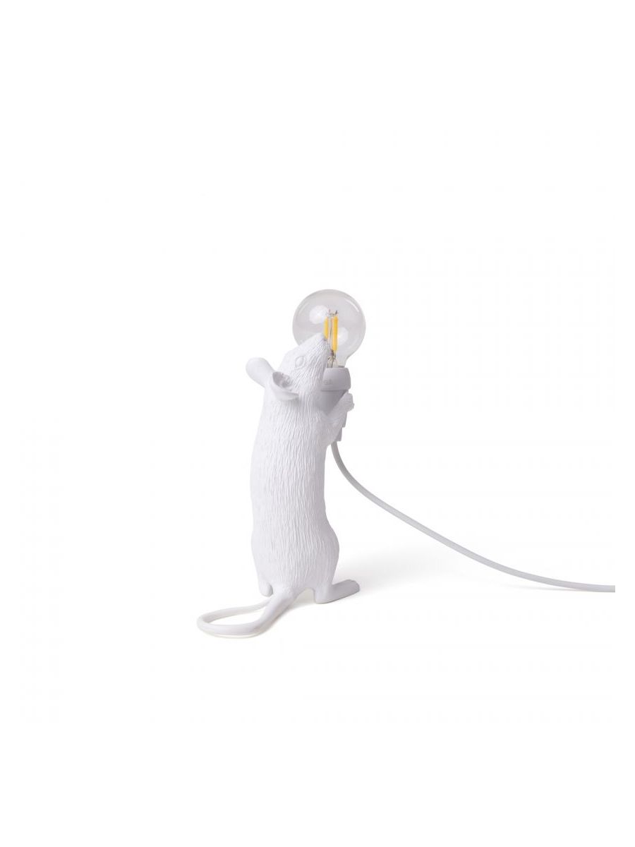 Mouse Lamp Step