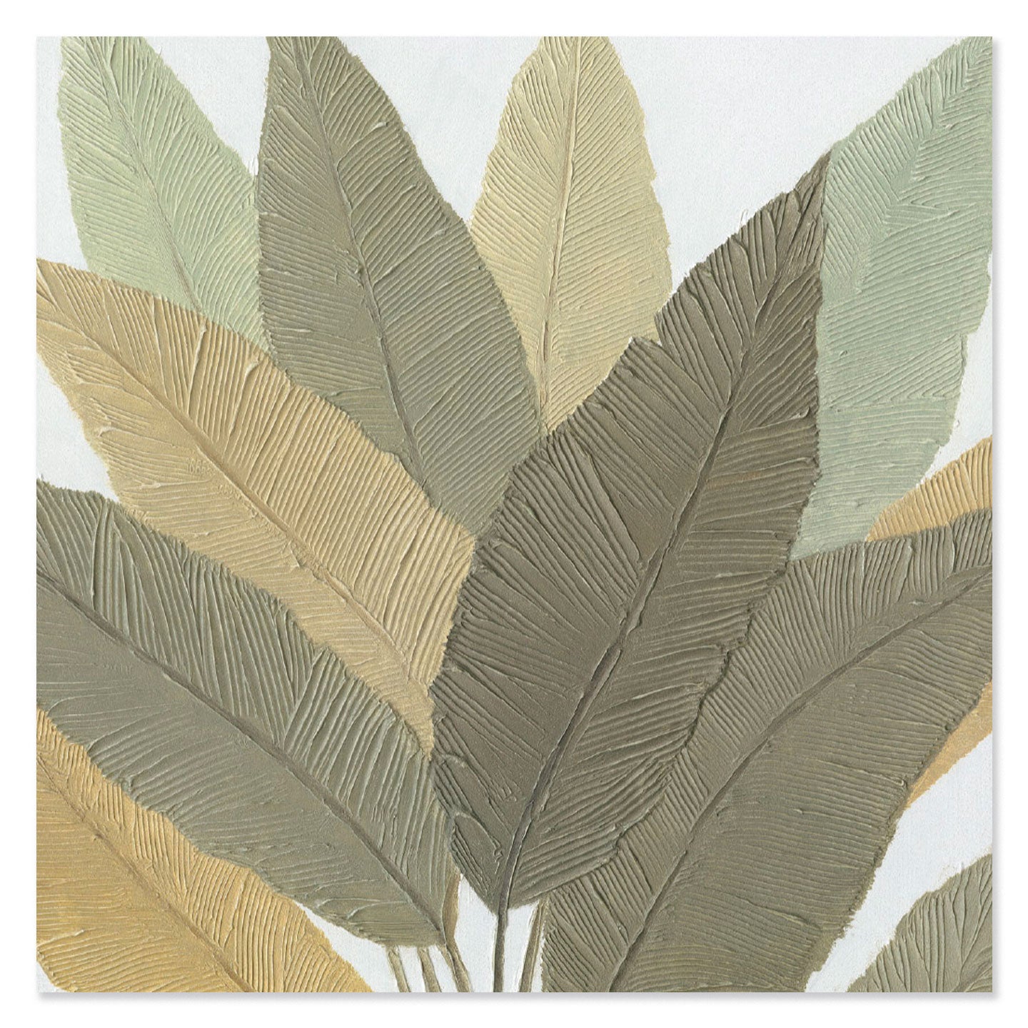 Quadro Calathea 100x100 cm Agave Quadri